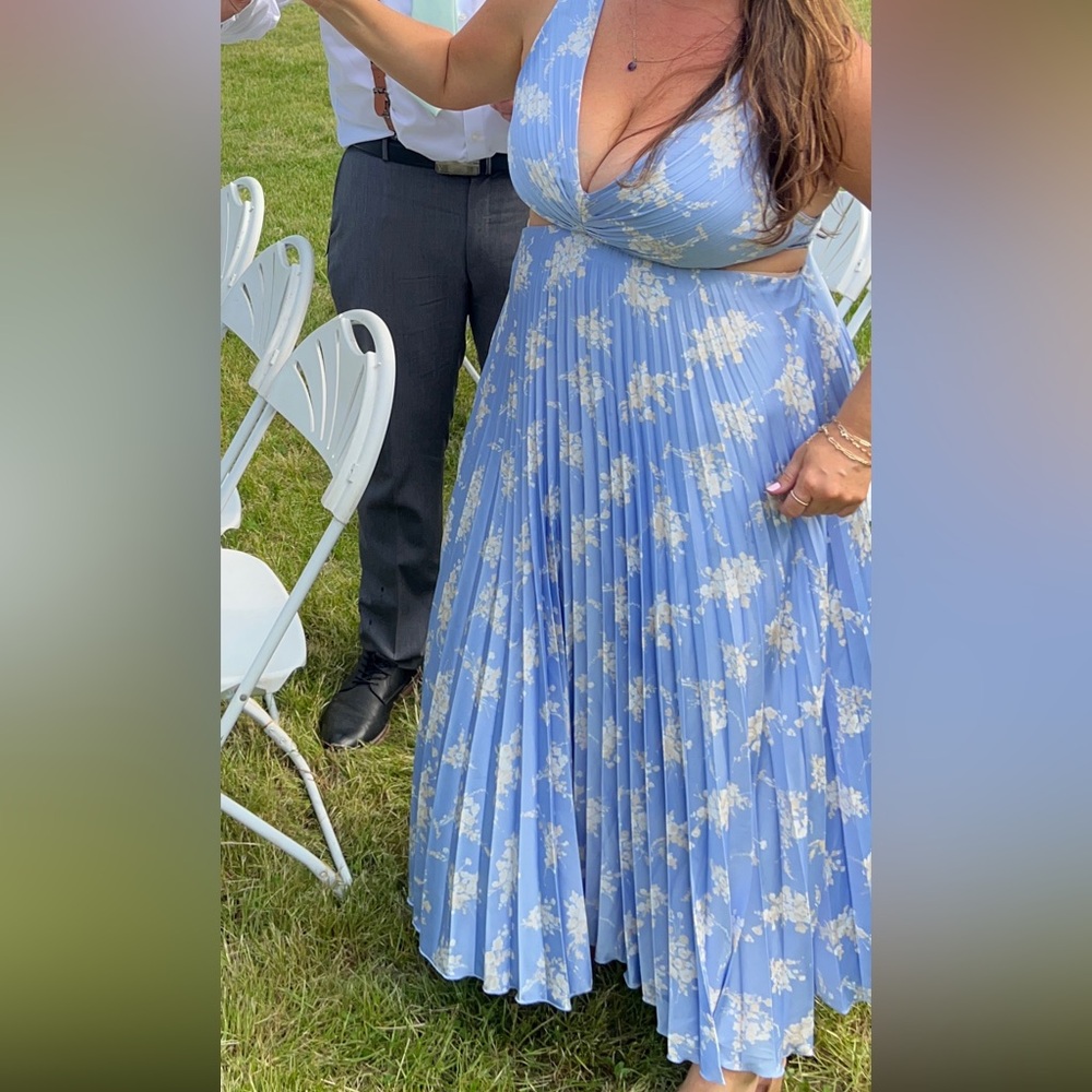 Abercrombie & Fitch Giselle Blue Floral Pleated Maxi Dress